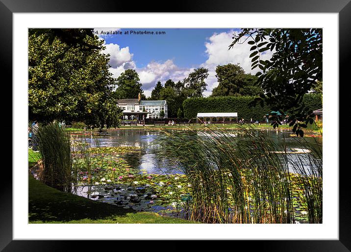  The Gardens At Burnby Hall Framed Mounted Print by keith sayer