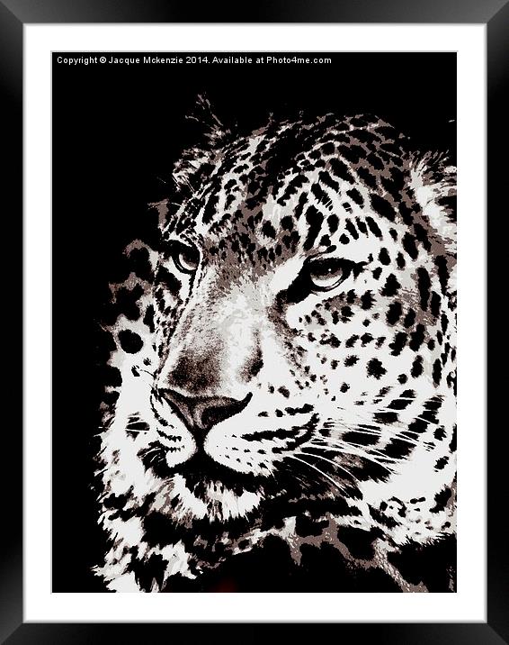  BLACK & WHITE LEOPARD Framed Mounted Print by Jacque Mckenzie
