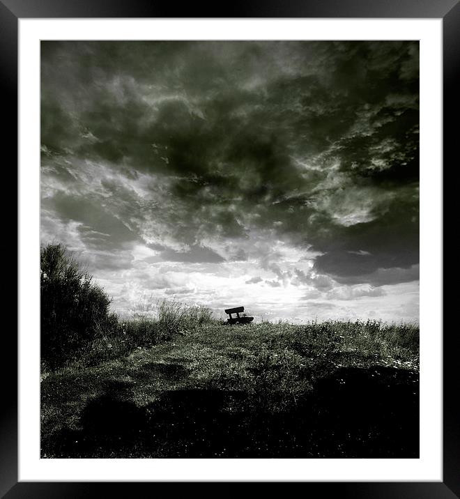   On The Dyke Blach And White Framed Mounted Print by Florin Birjoveanu