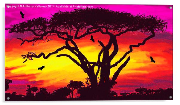  SAHARA SUNSET Acrylic by Anthony Kellaway