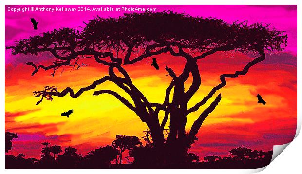  SAHARA SUNSET Print by Anthony Kellaway