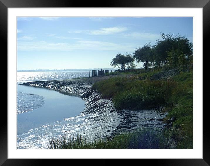 Hessle Foreshore Framed Mounted Print by Martin Parkinson