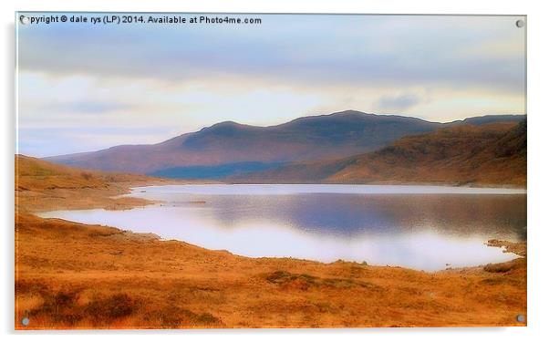  highland reflection Acrylic by dale rys (LP)