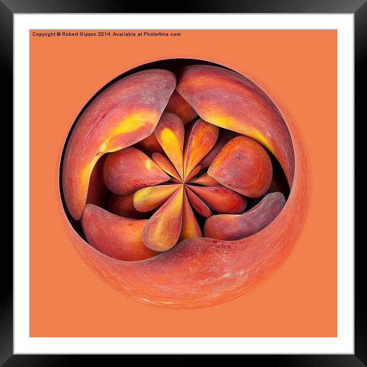  Peach in the globe 2 Framed Mounted Print by Robert Gipson
