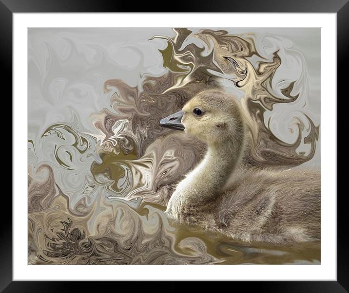  Liquified Beauty Framed Mounted Print by michelle whitebrook
