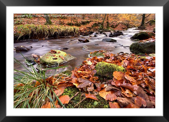  Autumnal Flow At Roddlesworth Woods Framed Mounted Print by Gary Kenyon