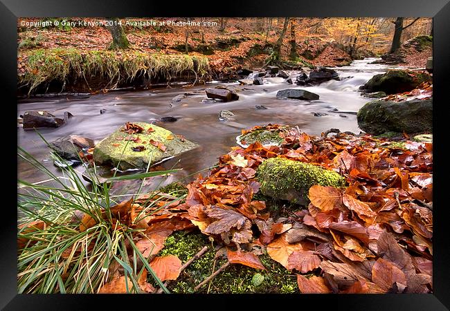  Autumnal Flow At Roddlesworth Woods Framed Print by Gary Kenyon