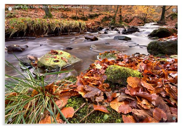  Autumnal Flow At Roddlesworth Woods Acrylic by Gary Kenyon