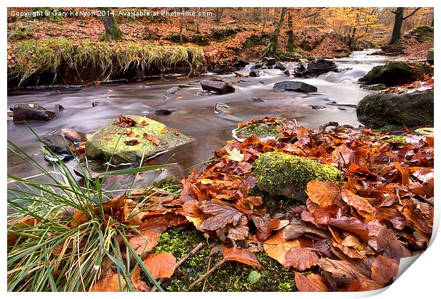  Autumnal Flow At Roddlesworth Woods Print by Gary Kenyon