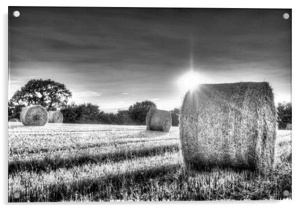 A Summers Evening Farm Acrylic by David Pyatt