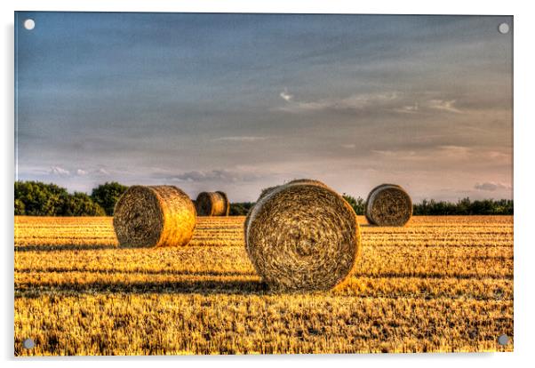  The Summer Farmers Field Acrylic by David Pyatt