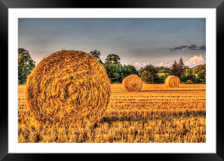  The Farm Straw Bales Framed Mounted Print by David Pyatt