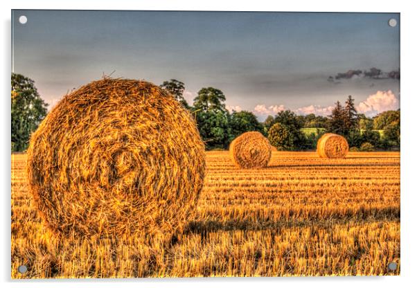  The Farm Straw Bales Acrylic by David Pyatt