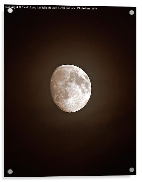  Lunar landscape Acrylic by Paul Scoullar