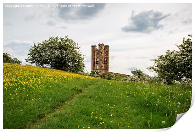  Broadway Tower, Worcestershire,UK Print by Pauline Tims