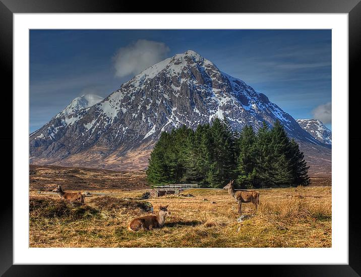 Buachaille Etive Mòr, Scotland. Framed Mounted Print by ALBA PHOTOGRAPHY