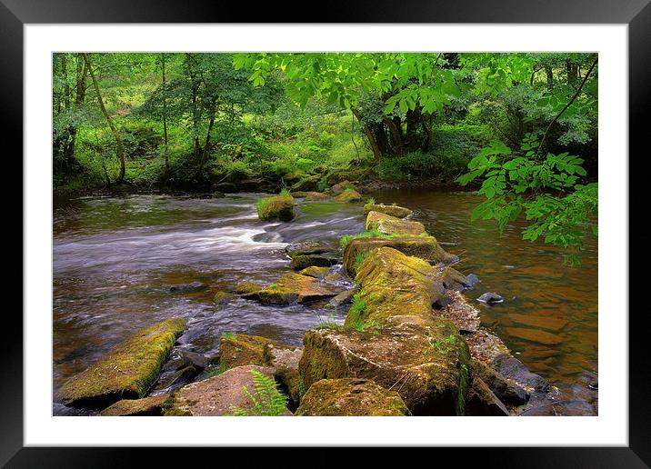 River Derwent Stepping Stones  Framed Mounted Print by Darren Galpin