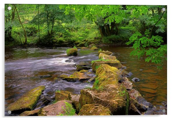 River Derwent Stepping Stones  Acrylic by Darren Galpin