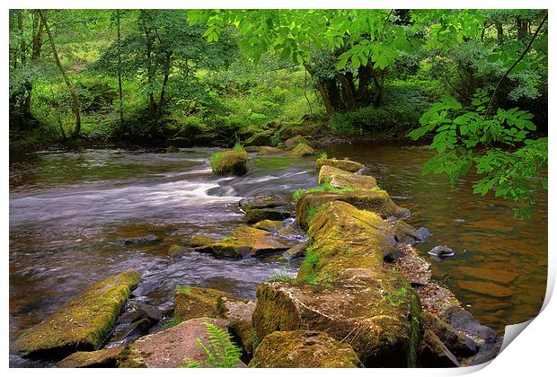 River Derwent Stepping Stones  Print by Darren Galpin