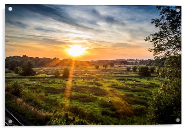 Sunset over Fields, Kintbury, Berkshire, England,  Acrylic by Mark Llewellyn