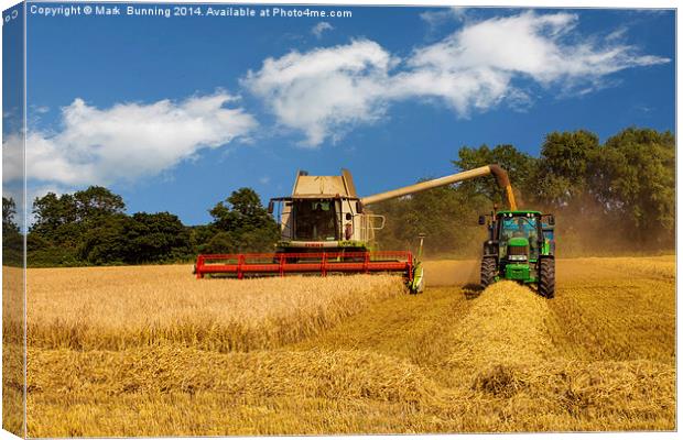 Harvesting the crop Canvas Print by Mark Bunning