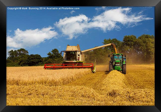 Harvesting the crop Framed Print by Mark Bunning