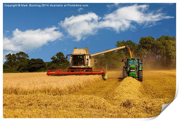 Harvesting the crop Print by Mark Bunning