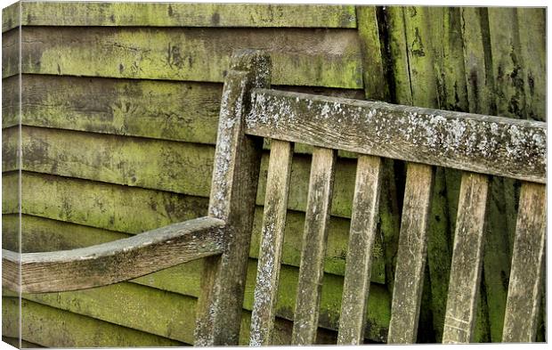 the old bench Canvas Print by Heather Newton