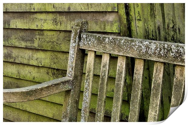 the old bench Print by Heather Newton