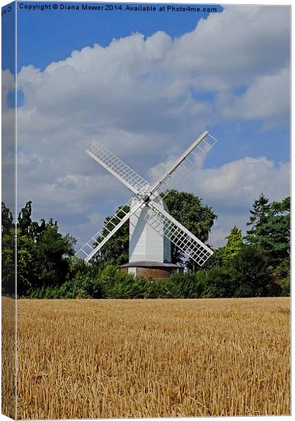 Bocking Windmill Canvas Print by Diana Mower