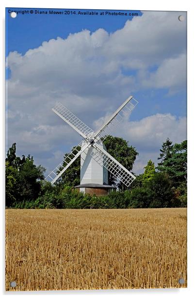  Bocking Windmill Acrylic by Diana Mower