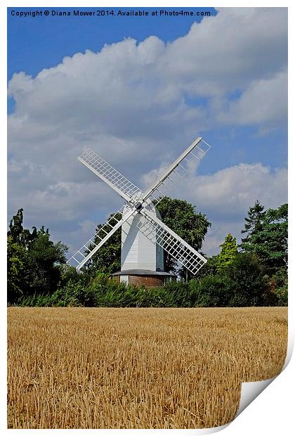  Bocking Windmill Print by Diana Mower