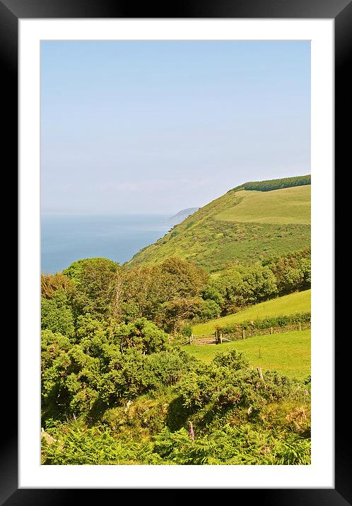 Desolation Point, North Devon  Framed Mounted Print by graham young