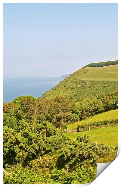 Desolation Point, North Devon  Print by graham young