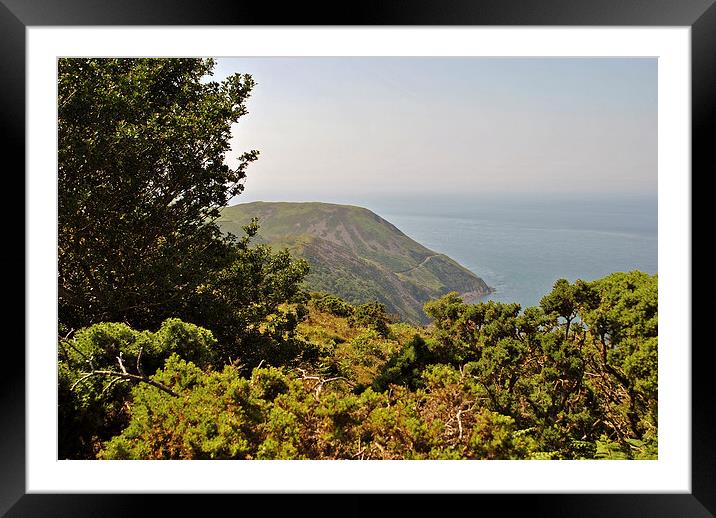 Foreland Point  Framed Mounted Print by graham young