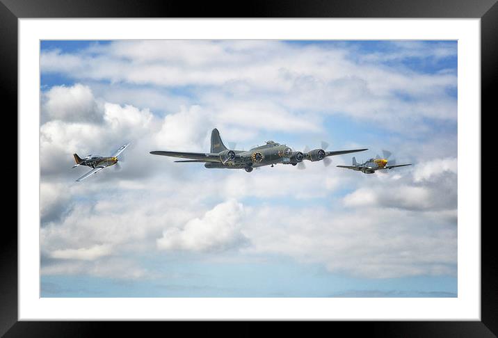  Sally B with her little friends Framed Mounted Print by Jason Green