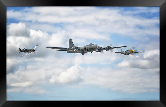  Sally B with her little friends Framed Print by Jason Green