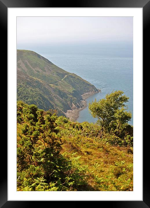 The South West Coast Path Towards Foreland Point  Framed Mounted Print by graham young