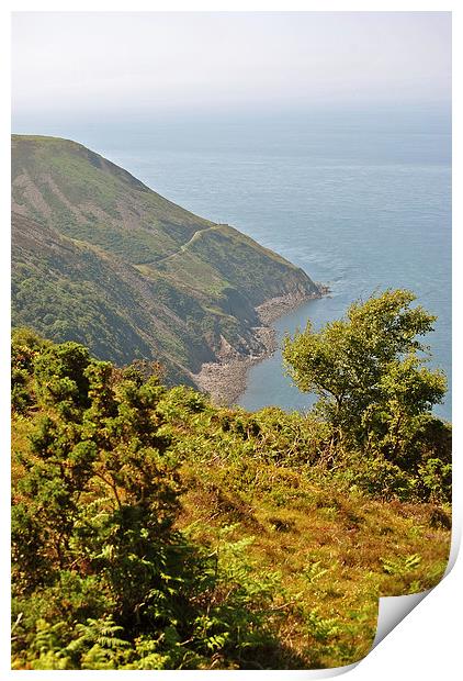 The South West Coast Path Towards Foreland Point  Print by graham young