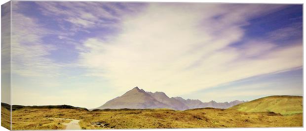  the cuillin view Canvas Print by dale rys (LP)