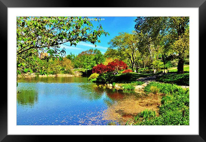  Central Park Framed Mounted Print by Laura Witherden