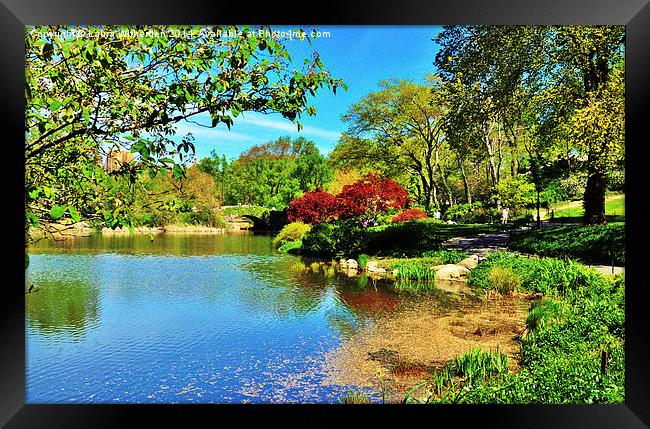  Central Park Framed Print by Laura Witherden