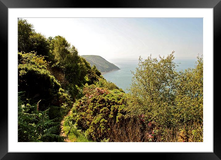 The South West Coast Path  Framed Mounted Print by graham young