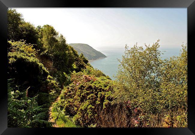 The South West Coast Path  Framed Print by graham young