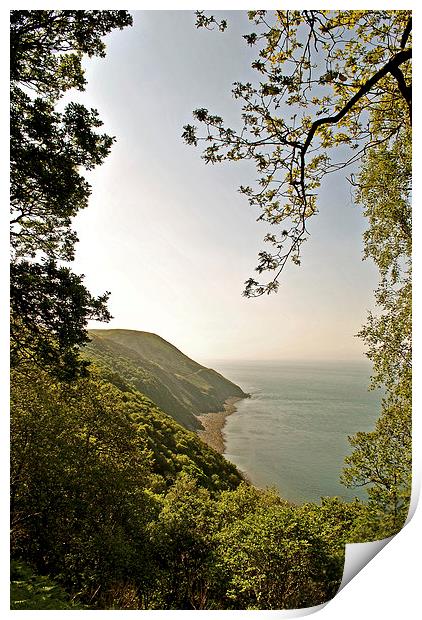 Foreland Point and the Exmoor Coast  Print by graham young