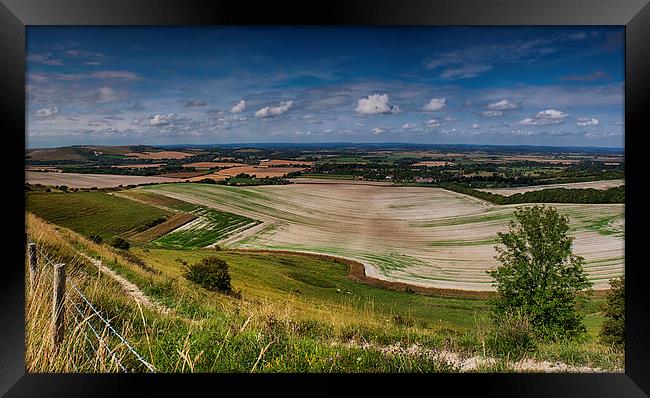  View From Firle Beacon Framed Print by Phil Clements