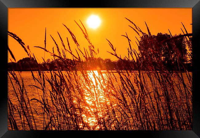 Sunset Lake Framed Print by John Ellis
