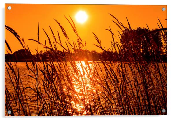 Sunset Lake Acrylic by John Ellis