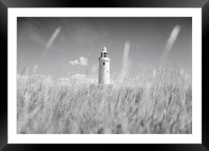  Keyhaven Lighthouse, Hampshire Framed Mounted Print by Adam Payne