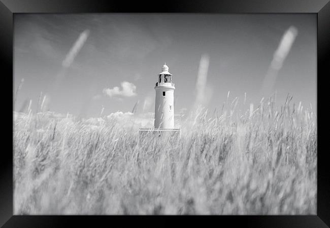  Keyhaven Lighthouse, Hampshire Framed Print by Adam Payne